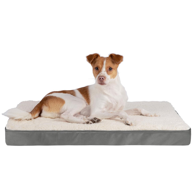 Best Pet Supplies Dog Crate Mat with Waterproof Exterior Orthopedic Foam and Sherpa Cover Gray Wayfair